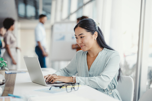 Master Business Information Systems