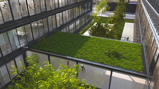 BA/BS Ecology and Evolutionary Biology