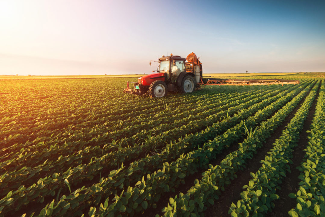 Agriculture with Farm Business Management BSc Honours