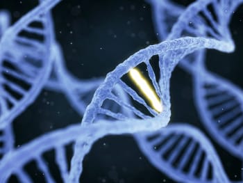 Biomedical Genetics MSc Honours