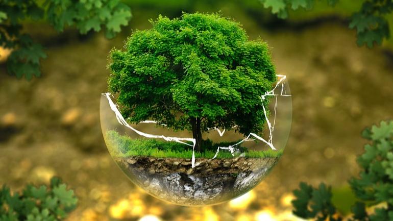 Bachelor of Science in Environmental Science (H