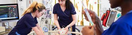 Honours Bachelor of Science – Nursing (Bridge)