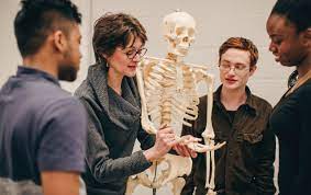 Honours Bachelor of Therapeutic Recreation