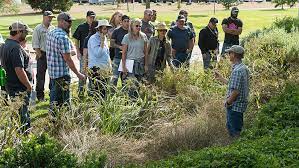 Environmental Landscape Management