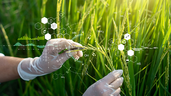 FOOD SCIENCE TECHNOLOGY