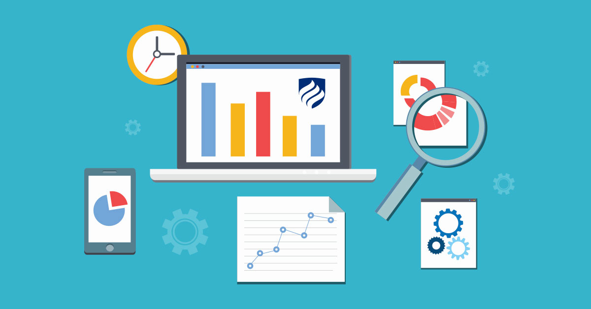 PROJECT MANAGEMENT PROGRAM