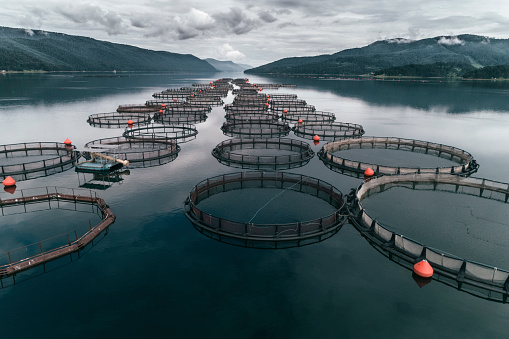 Aquaculture Co-op