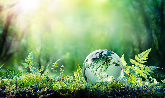 Conservation and Environmental Law Enforcement
