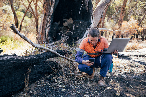 Ecosystem Management Technology - Advanced Standing