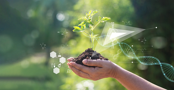 Master of Science [M.Sc] Environmental and Life Sciences