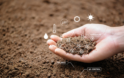Master of Science [M.Sc] Bioenvironmental Monitoring and Assessment