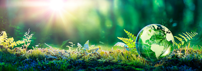 Doctor of Philosophy [Ph.D] Environmental and Life Sciences