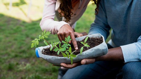 Bachelor of Arts [B.A] Sustainable Agriculture and Food Systems - Applied Agriculture