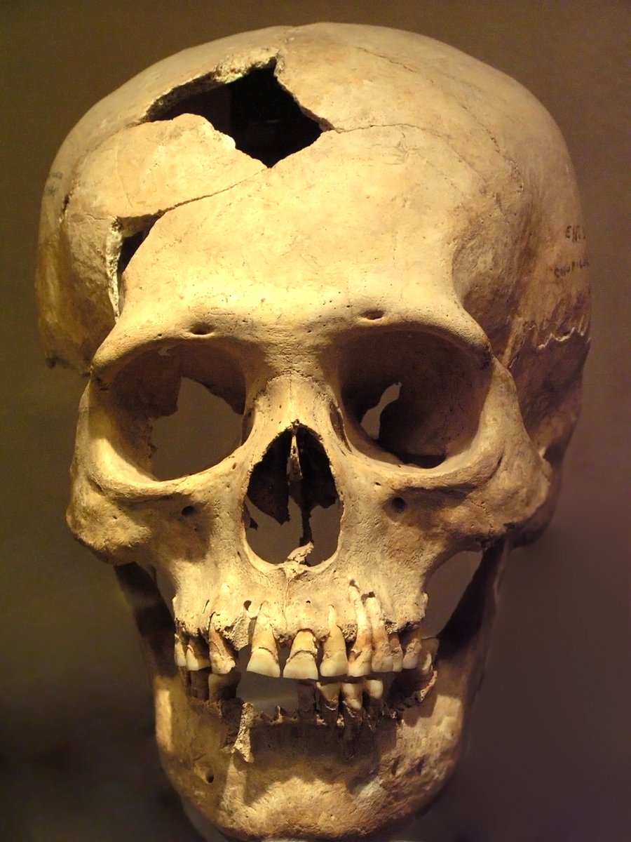 Anthropology BSc