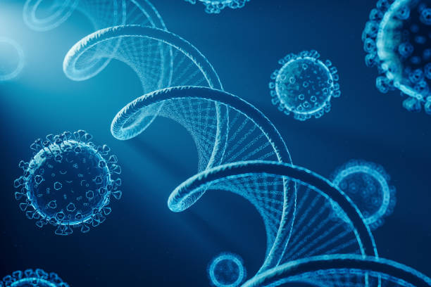 Biomedical Sciences (Immunology) BSc