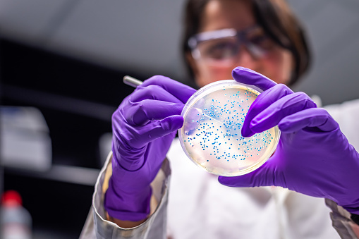 Master of Science by Research [M.Sc.] Biomedical Science